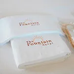 The Fountain *
